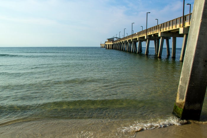 Gulf State Park Guide — Hiking, Nature Center, and More