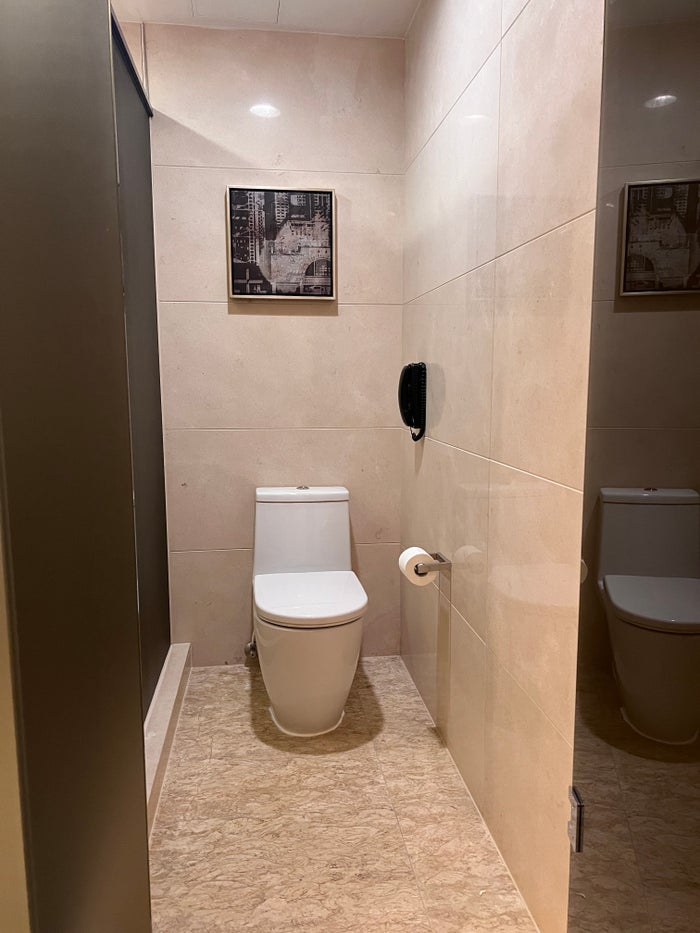 Hyatt Regency Hong Kong Sha Tin toilet