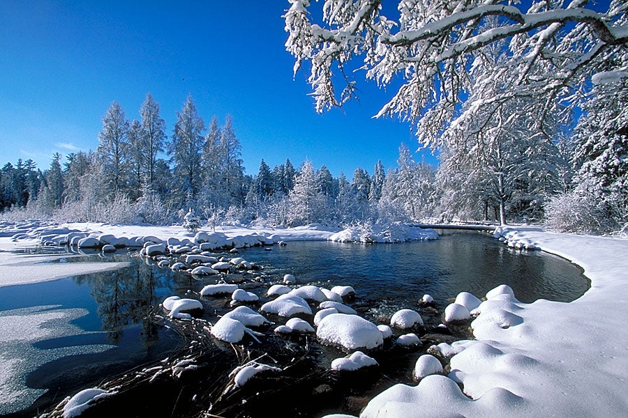 Itasca State Park in Winter