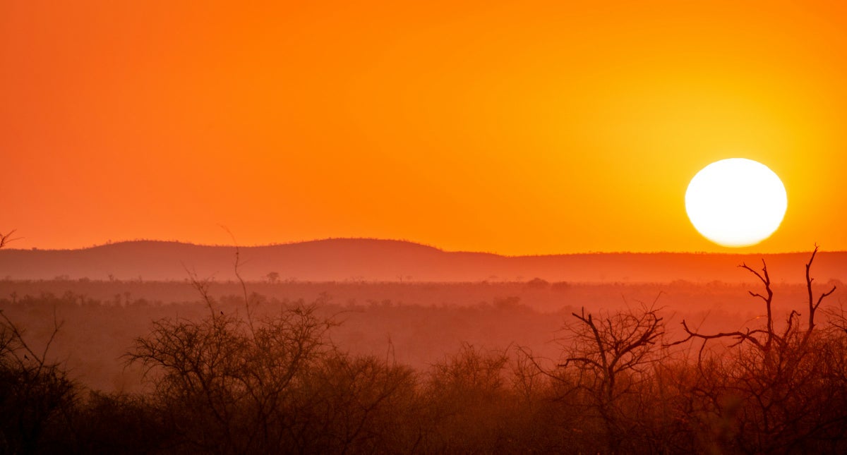 The 8 Best Safaris in South Africa in 2025