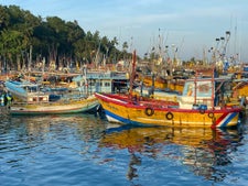 A failed mission to see whales, but beautiful boats at the marina in Mirissa, Sri Lanka.