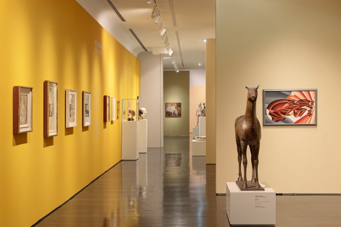 Museo Novecento Museo Novecento