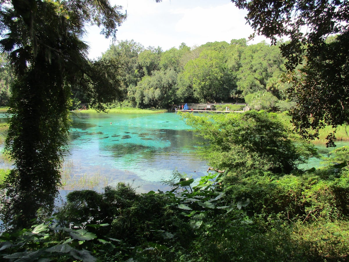 Rainbow Springs State Park Guide — Hiking, Swimming [2024]