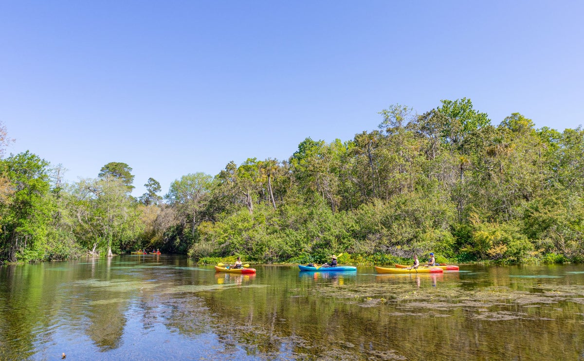 Weeki Wachee Springs State Park Guide — Mermaids, Wildlife, and More