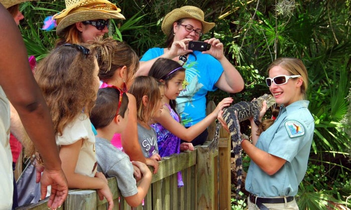 Wildlife Animal Encounter Shows