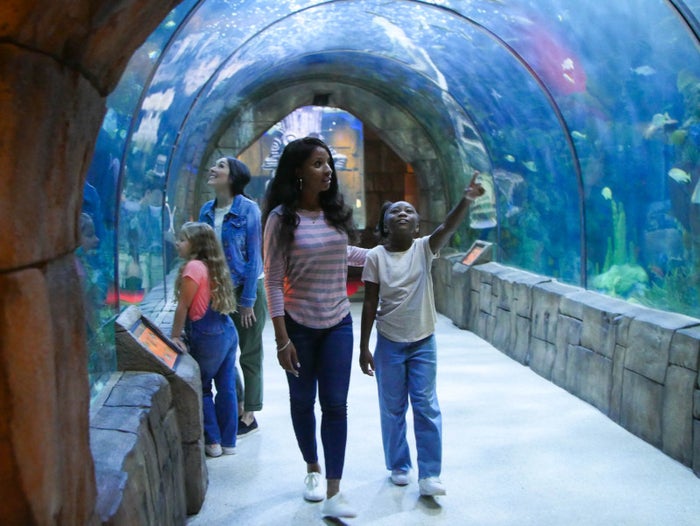 Audubon Nature Institute