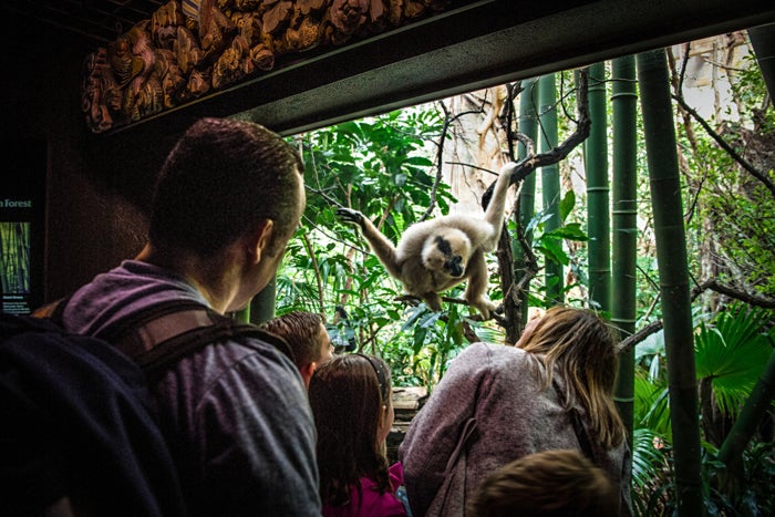Bronx Zoo