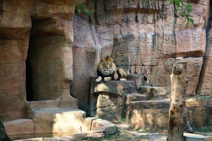 Brookfield Zoo
