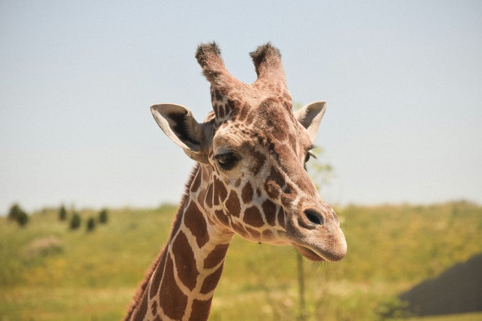 Columbus Zoo and Aquarium