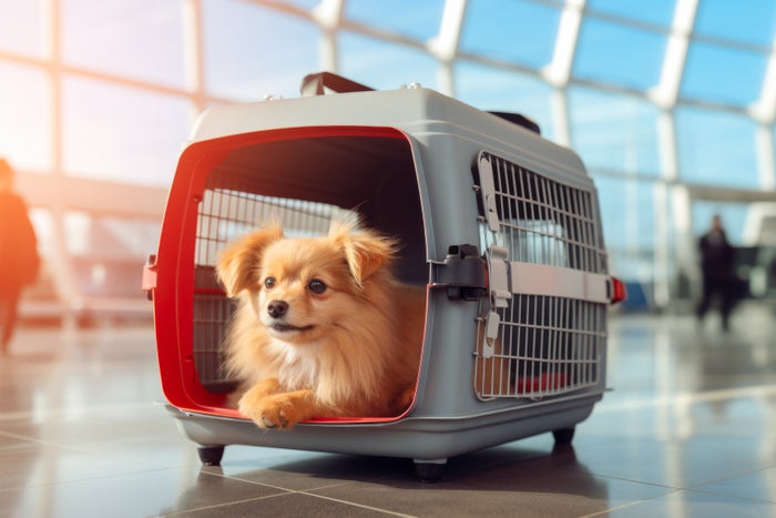 [Expired] JetBlue Offering Discount on Pet Fares for Summer Travel [Book Today!]