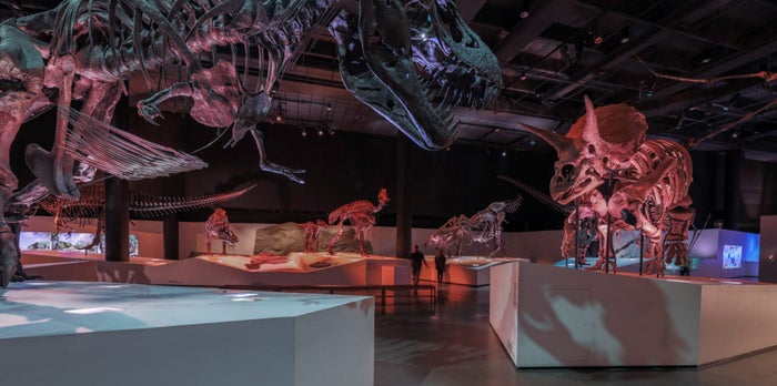 Houston Museum of Natural Science Houston Museum of Natural Science