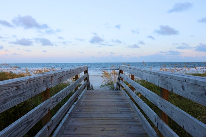 Huntington Beach State Park Guide — Hiking, Camping, and More 