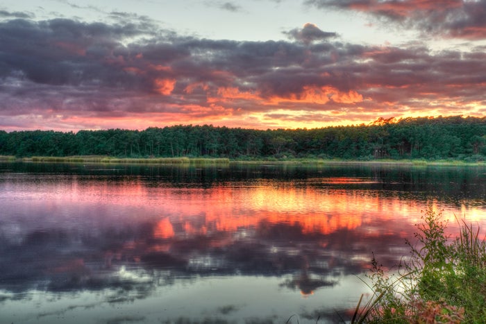 Huntington Beach State Park