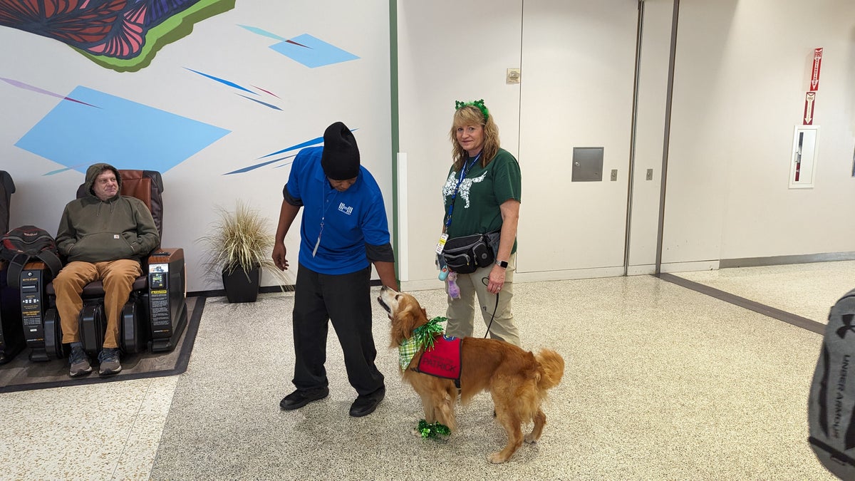 IAH to ATL Delta flight review Terminal A IAH therapy dog