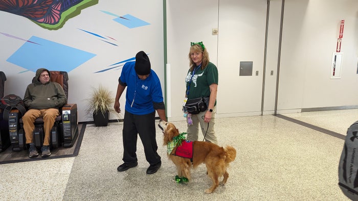 IAH to ATL Delta flight review Terminal A IAH therapy dog IAH to ATL Delta flight review Terminal A IAH therapy dog