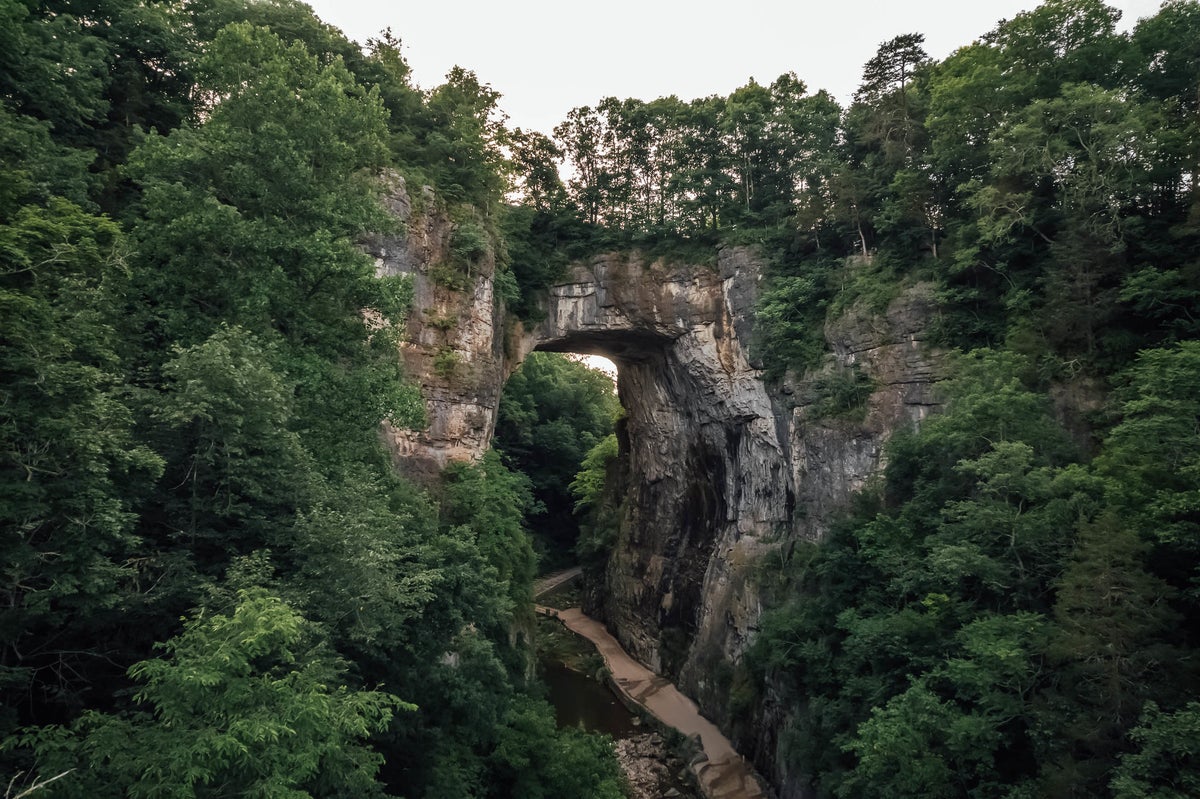 Natural Bridge State Park Guide — Hiking, Programs, and More 
