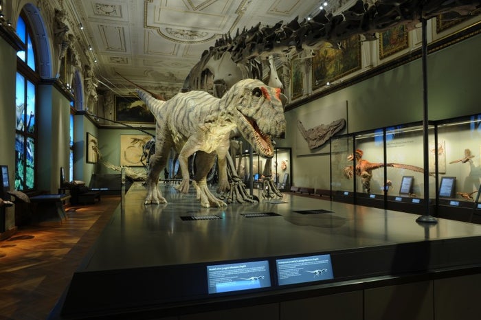 Naturhistorisches Museum Wien Naturhistorisches Museum Wien