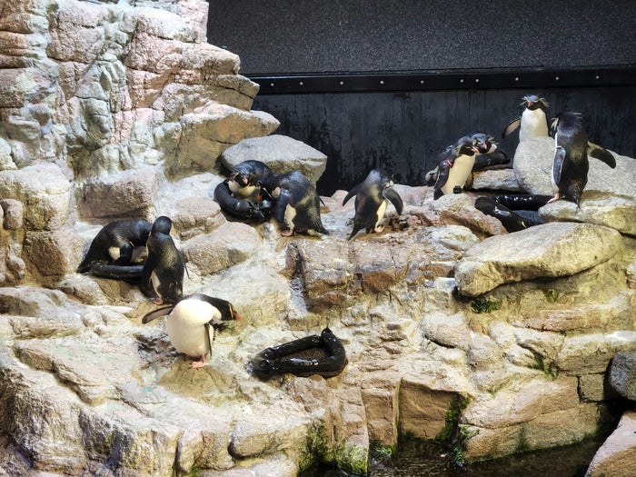 New England Aquarium
