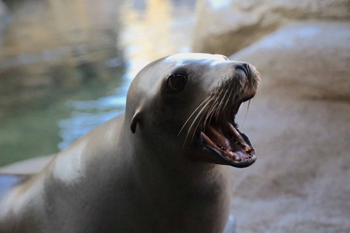 Oregon Coast Aquarium
