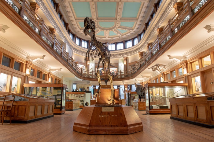 Redpath Museum