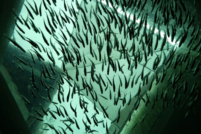 Seattle Aquarium