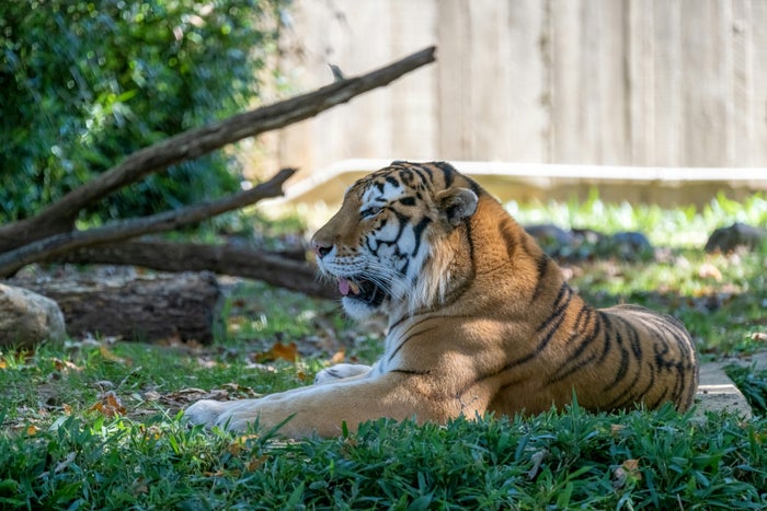 Smithsonians National Zoo