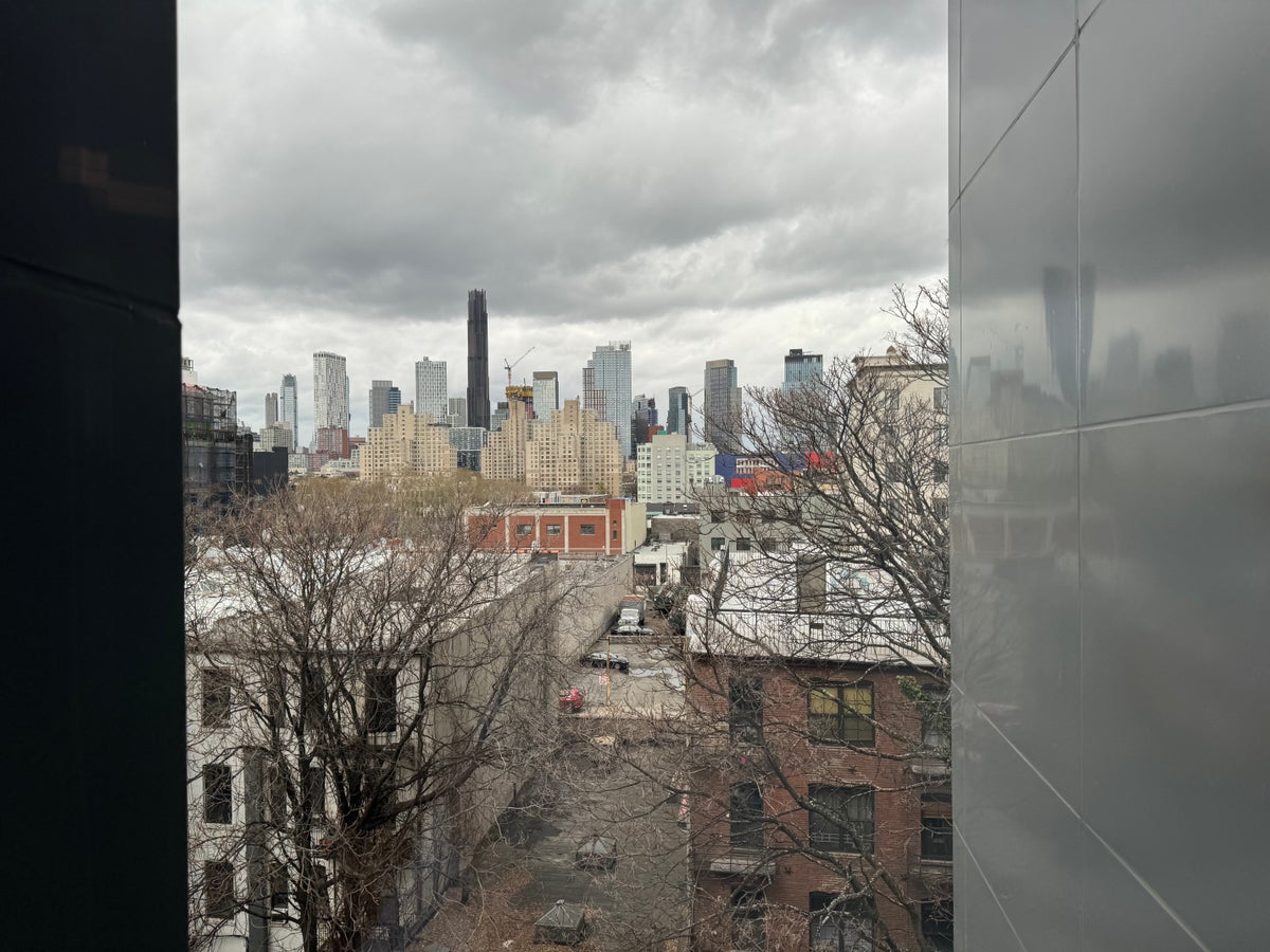 Tru by Hilton Brooklyn View