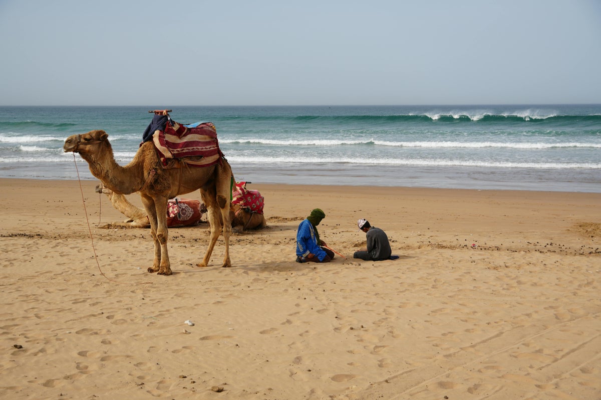 [Expired] [Deal Alert] U.S. to Morocco from $791 in Premium Economy