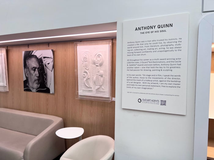 Art at JFK Air France Lounge