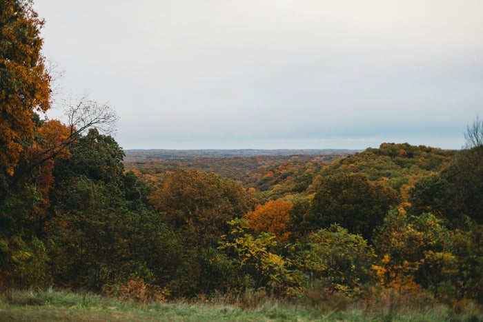 Brown County State Park Guide — Hiking, Bridge, and More 
