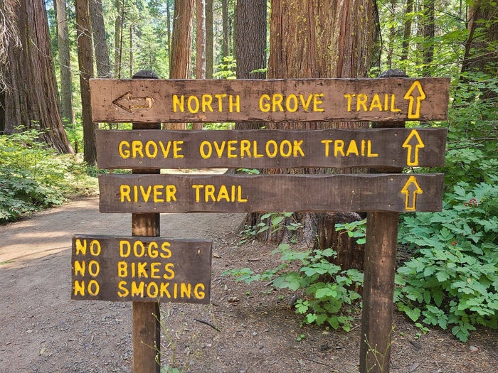 Calaveras Big Trees State Park Hiking Trails