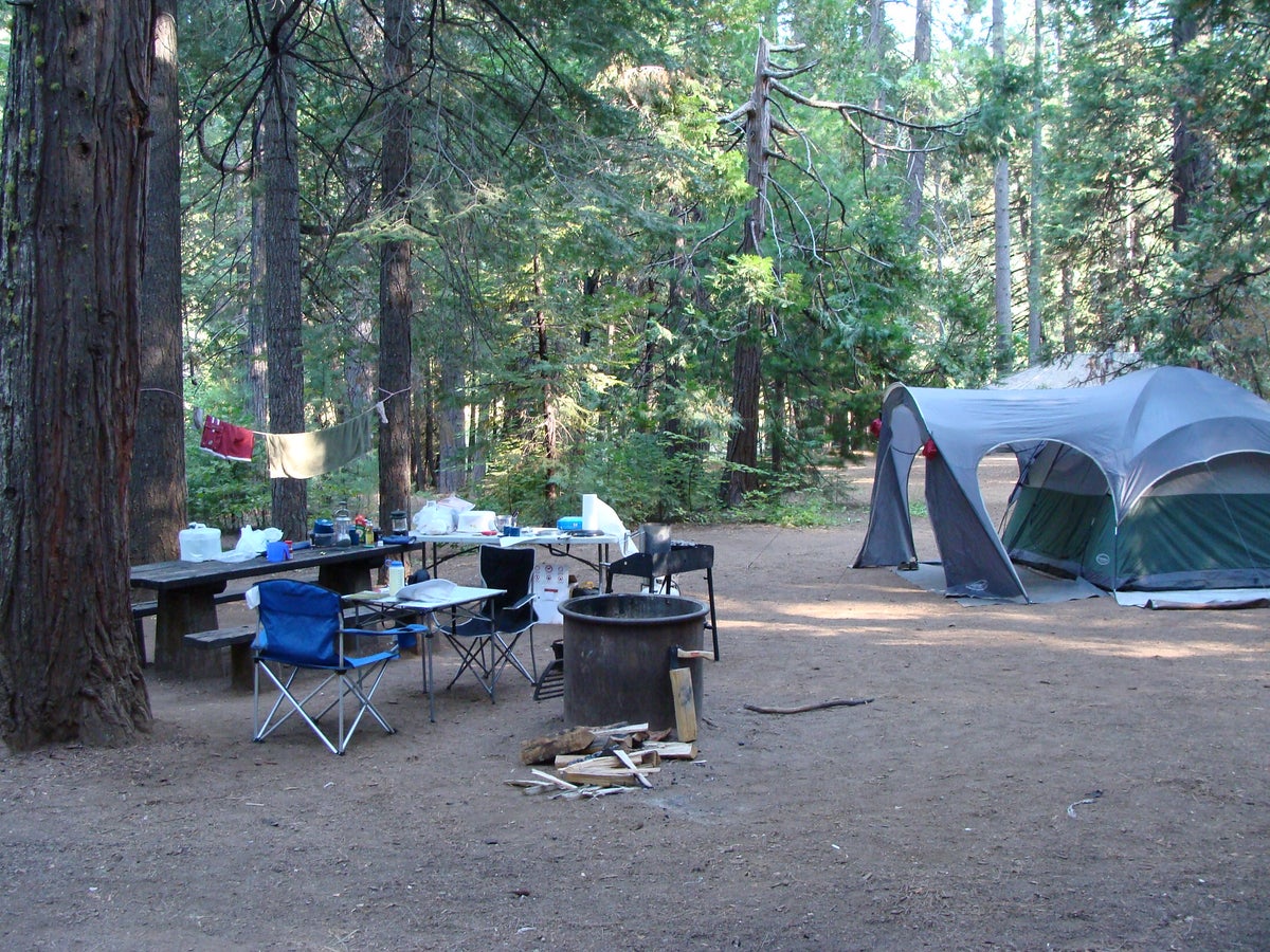 Camping Calaveras Big Trees State Park