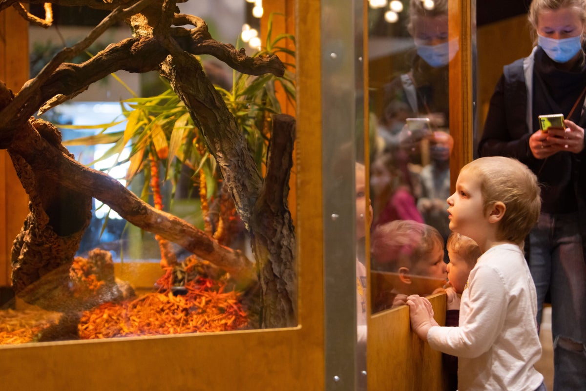 Connecticut Science Center