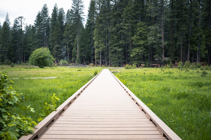 Getting Around Calaveras Big Trees State Park