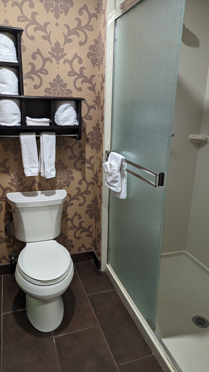 Hampton Inn Suites Hope guestroom bathroom Hampton Inn Suites Hope guestroom bathroom