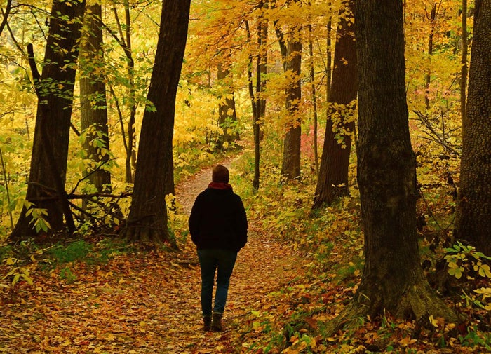 Hiking Pokagon State Park Hiking Pokagon State Park