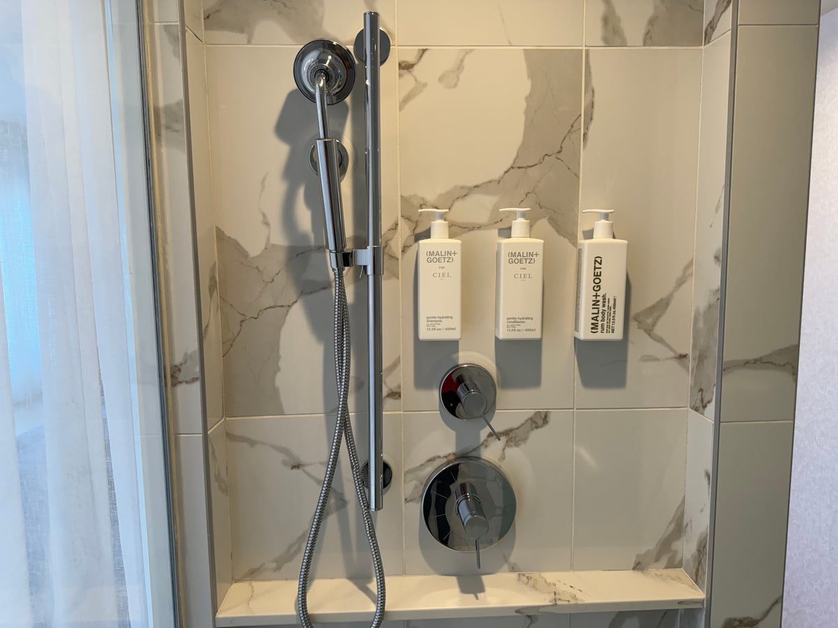 Mondrian Los Angeles deluxe studio suite bathroom shower handheld and pump bottles