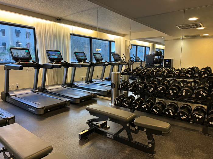 Mondrian Los Angeles fitness center free weights