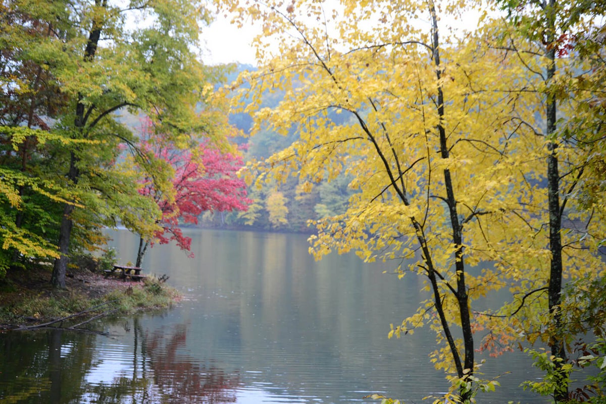 Ogle Lake