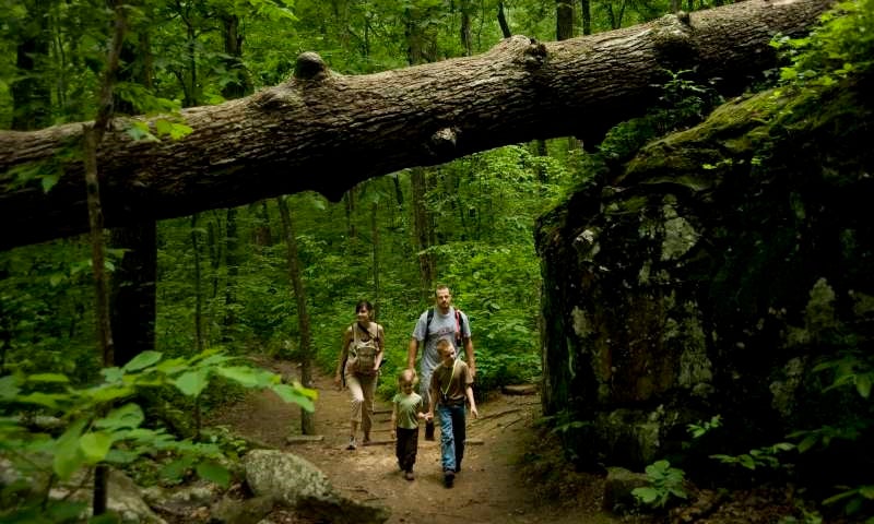 Petit Jean State Park Hiking Trails