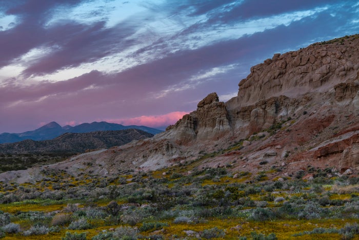 Red Rock Canyon State Park Red Rock Canyon State Park