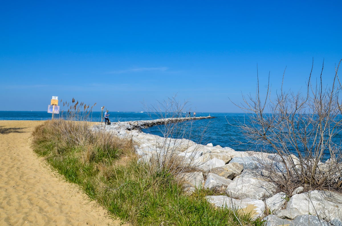 Sandy Point State Park Guide — Beach, Mansion, and More 