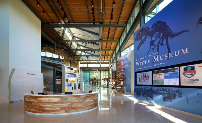 The Witte Museum The Witte Museum