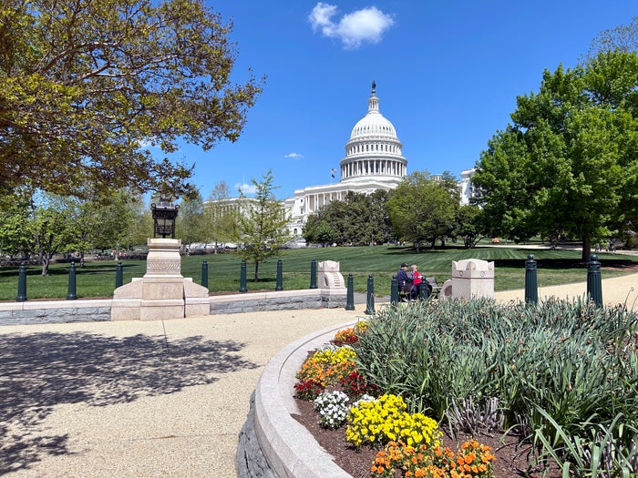 US Capitol flowers