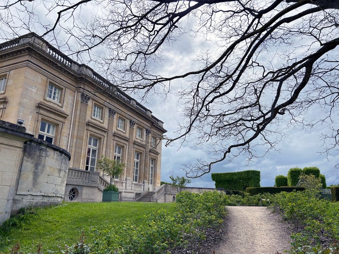 Versailles Gardens Petit Trianon sinister tree Versailles Gardens Petit Trianon sinister tree