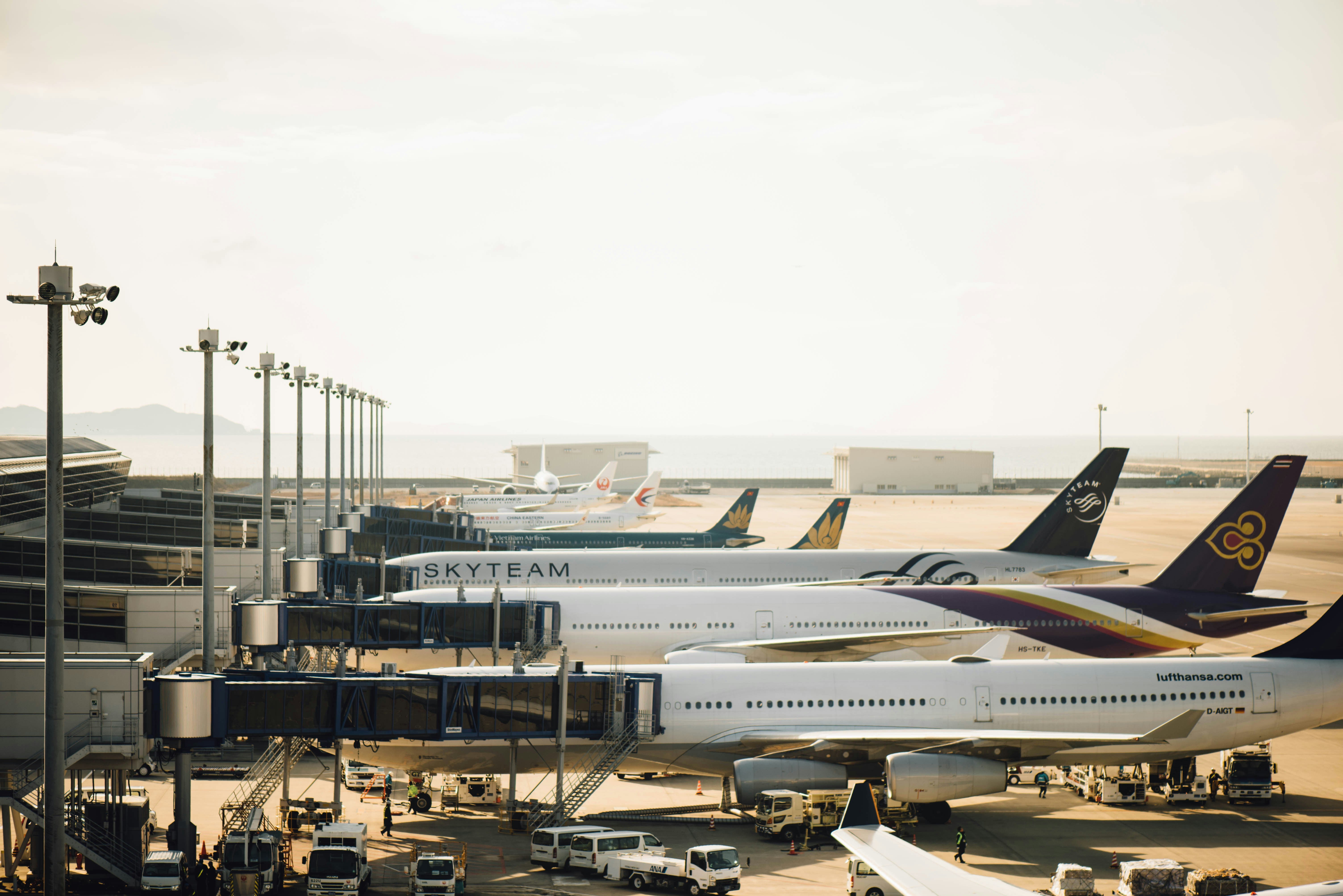 Google Flights Adds Baggage Info, More Sorting Options