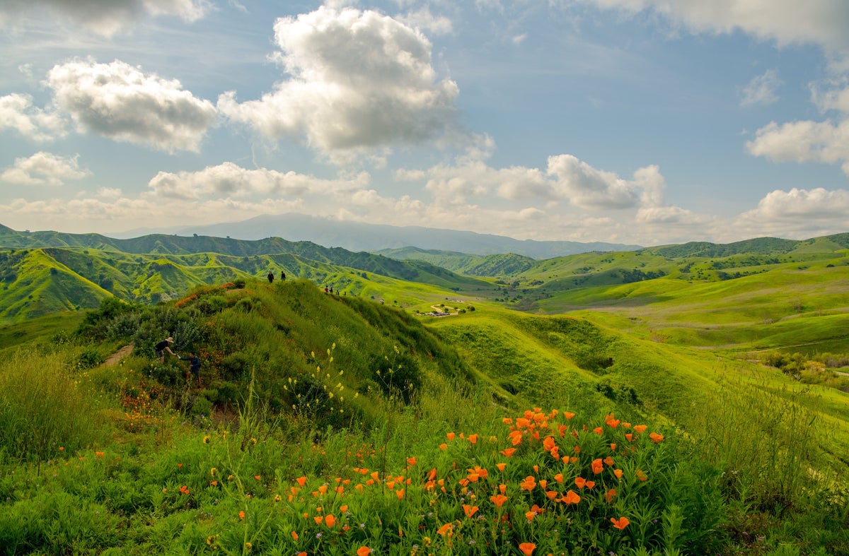 Chino Hills State Park Guide — Trails, Wildlife, and More 