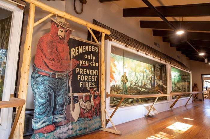 Forest Heritage Center and Museum