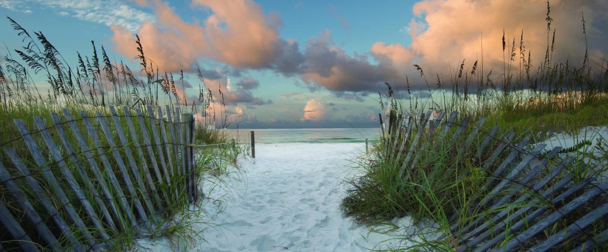 Henderson Beach State Park Florida