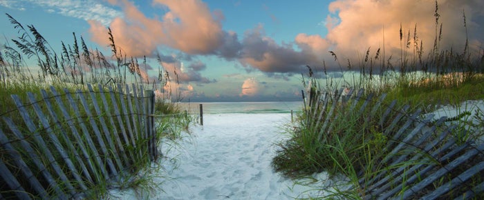Henderson Beach State Park Florida Henderson Beach State Park Florida